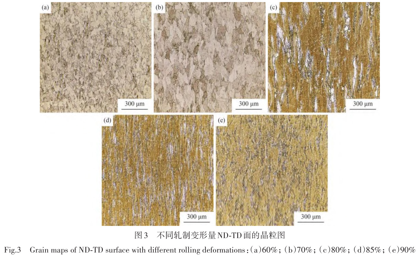 軋制變形量及退火工藝對鉬靶材顯微組織的影響