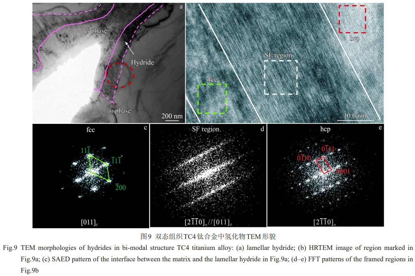 顯微組織對(duì)TC4雙相鈦合金氫化物轉(zhuǎn)變及氫分布的影響機(jī)制——系統(tǒng)解析相界面作用、氫擴(kuò)散規(guī)律與氫化物變體選擇特性