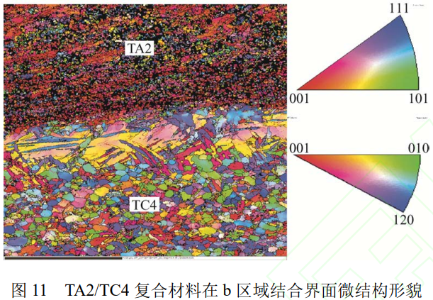 TA2/TC4鈦合金層狀復(fù)合板爆炸焊接-軋制制備及其界面微觀結(jié)構(gòu)表征與力學(xué)性能評價
