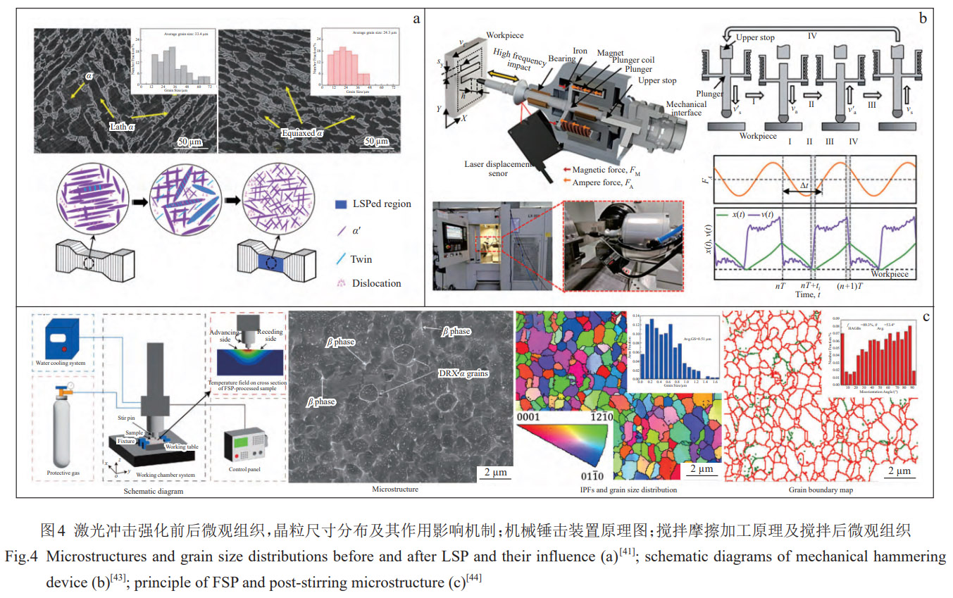 增材制造TC4合金微觀組織等軸化精準(zhǔn)調(diào)控研究進(jìn)展——從微合金元素?fù)诫s外場物理干預(yù)到熱處理工藝優(yōu)化，系統(tǒng)解析晶粒細(xì)化與等軸化內(nèi)在規(guī)律